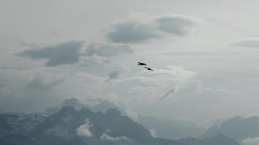 A pair of birds fly over a snowy mountain range during the day