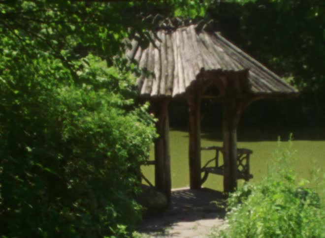 A wooden pergola sits below tall trees in a yard