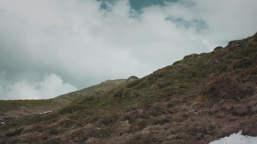 Gray wolf on mountain slope against the sky