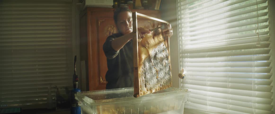 A woman in harvesting honey from a bees nest while indoors