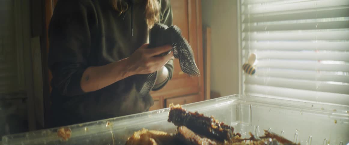 A woman wiping her hands on a towel near honeycombs
