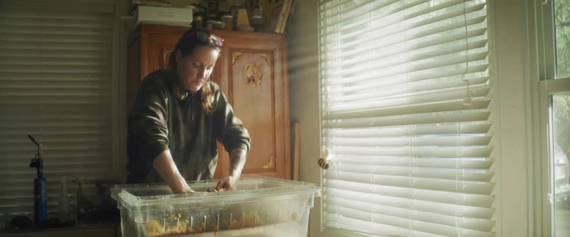 A woman is crushing honeycombs