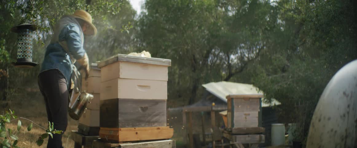 A woman is tending to her collection of bee hives outdoors during the day