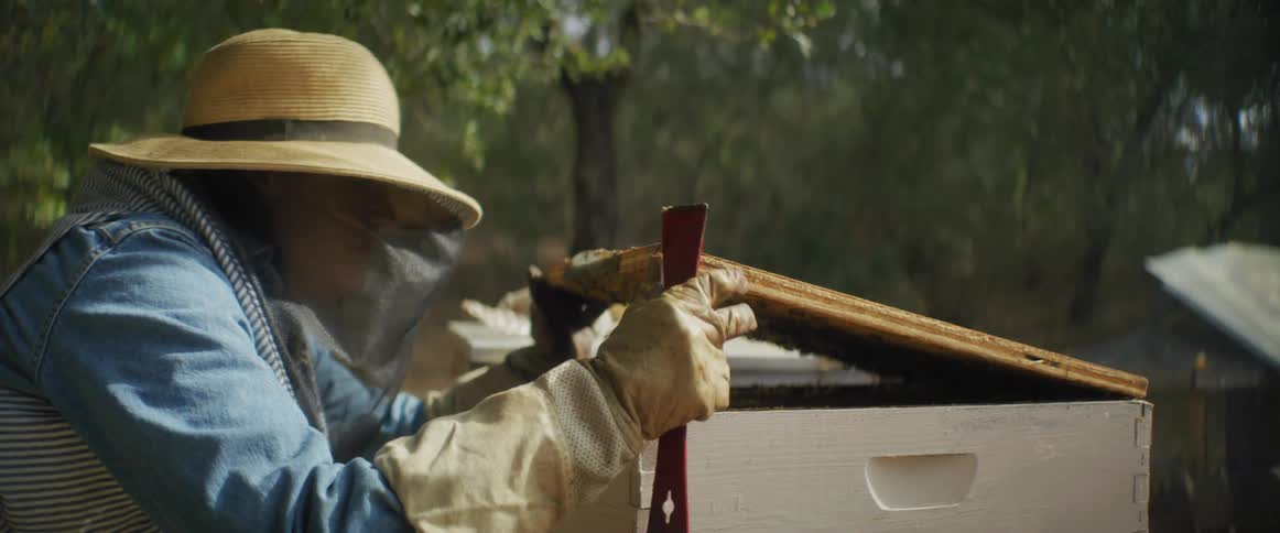 A woman opens an apiary on the farm