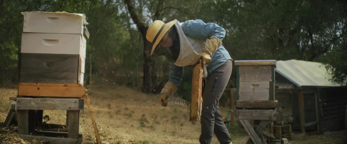 A beekeeper waving a feather around a honeycomb while walking away