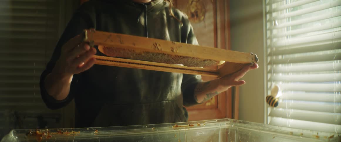 A beekeeper tends to an indoor hive