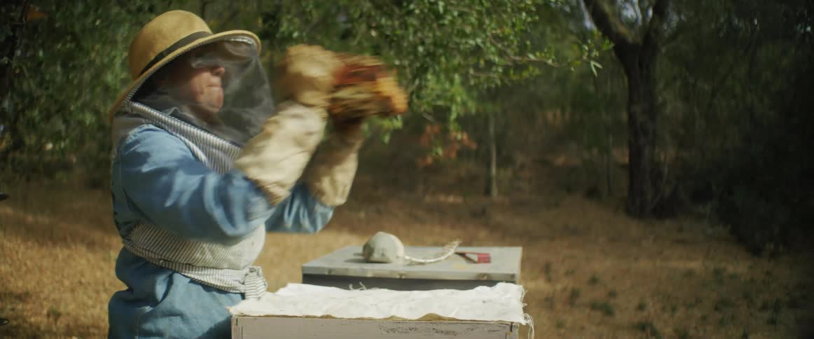 A beekeeper shaking bees off a wooden board