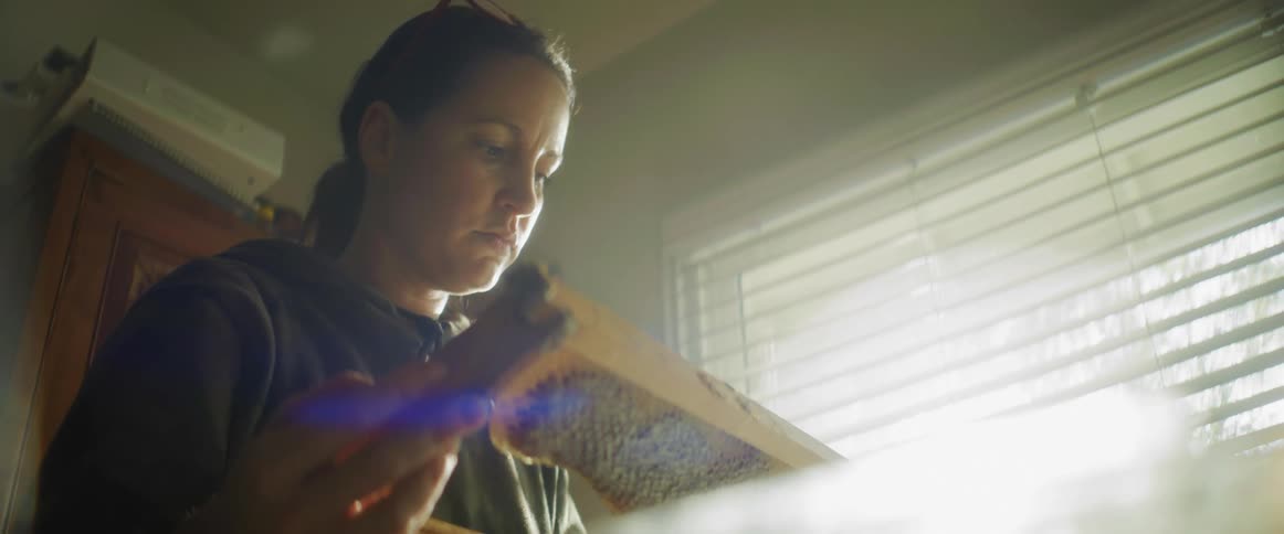 Female beekeeper with black hoodie looks down at honeycomb