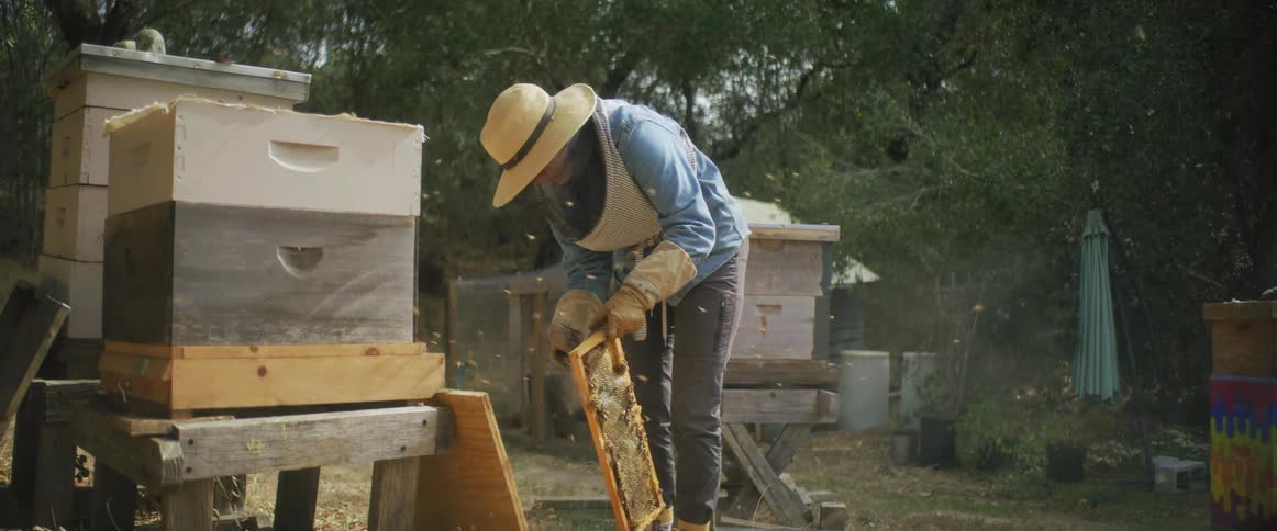The beekeeper is working on the farm