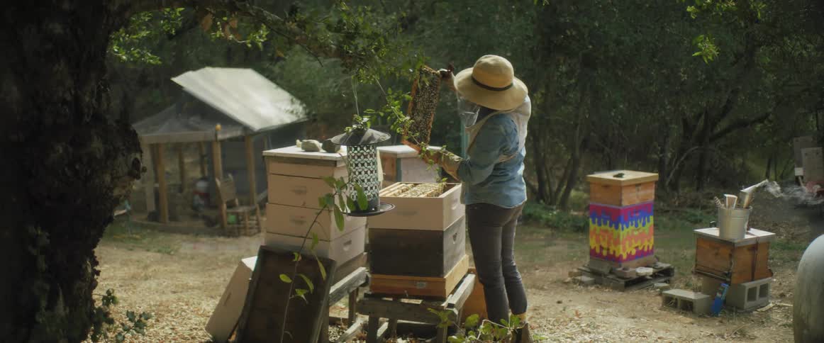 A female beekeeper is standing outside taking a honeycomb out of the bee box
