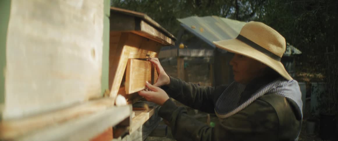 Beekeeper wearing protective gear places a lid on the side of a beehive