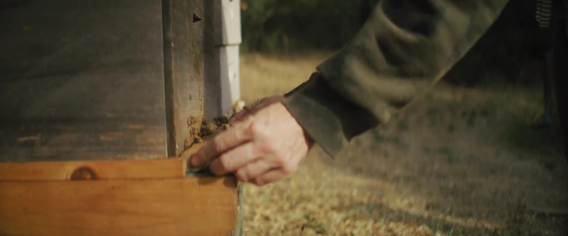 A beekeeper removes a piece of wood from a bee box