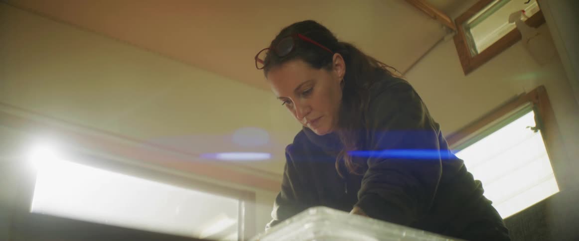 A woman is working in the room