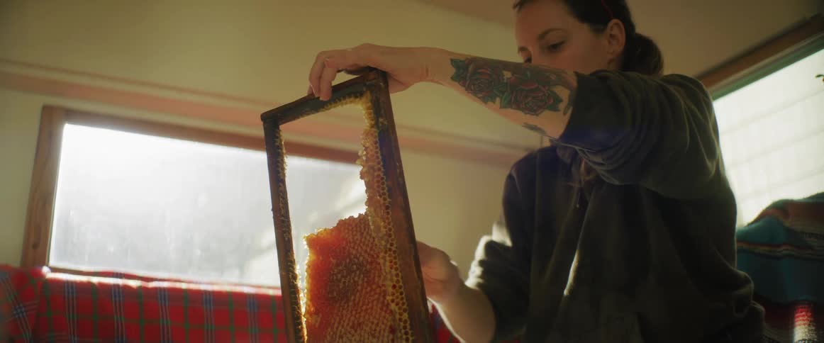 Tattooed woman breaks down a beehive on a wooden frame to collect honey