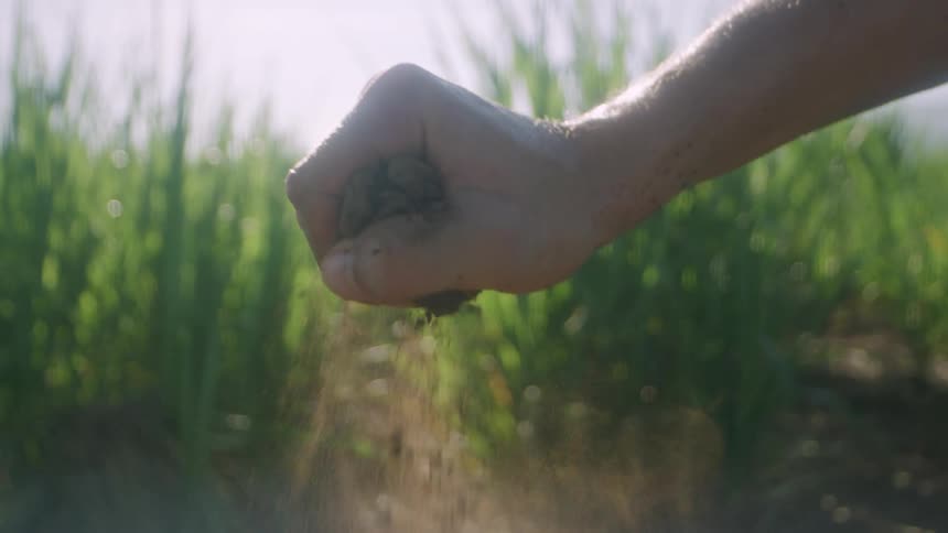 A man squeeze soil between his fingers and lets it fall to the ground