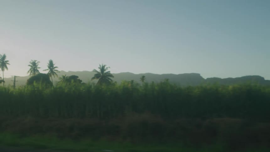 Sun goes down while the vehicle passes by green field