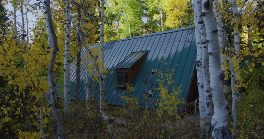 Blue roofed house with extended window sits surrounded by fall foliaged trees