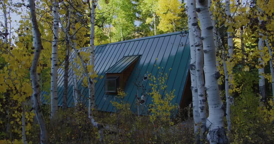 Trees with fall foliage surround blue roofed house with roof window