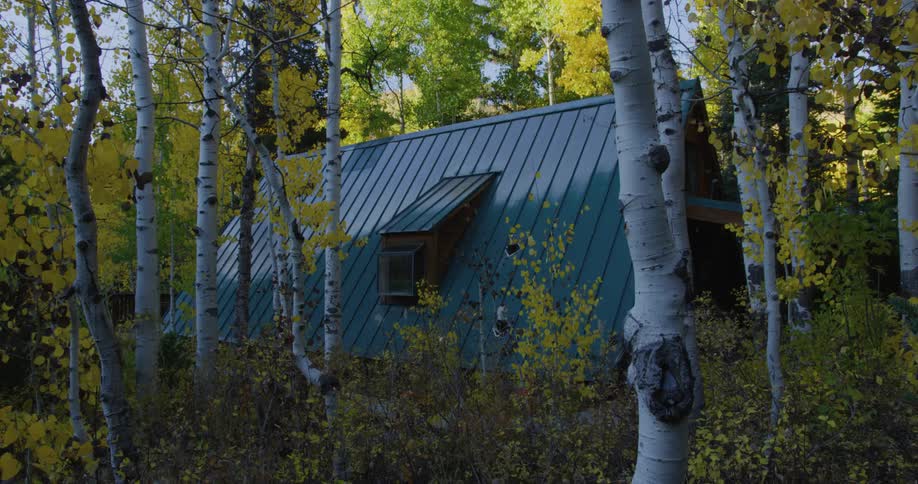 Exterior view of house in the forest