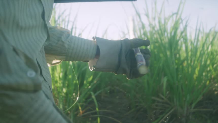 A farmer breaks a bamboo stick in half