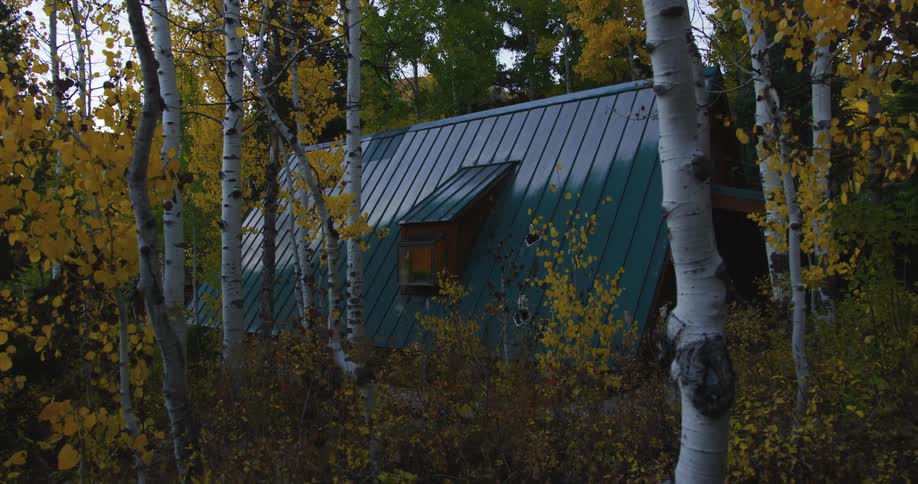 A house is in the woods surrounded by birch trees