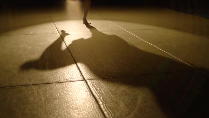 A womans shadow on the floor depicts her lifting handweights