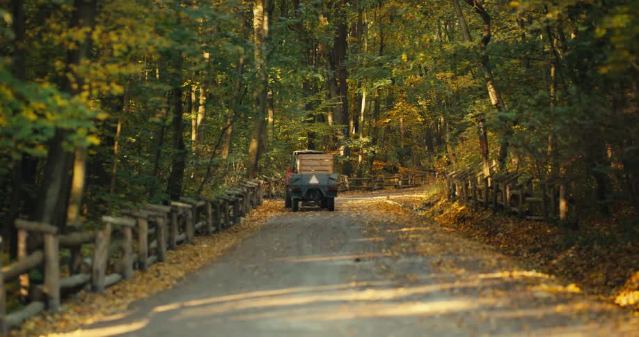 A jeep pulling a carrier with a wooden crate in the back travels on a road through the woods