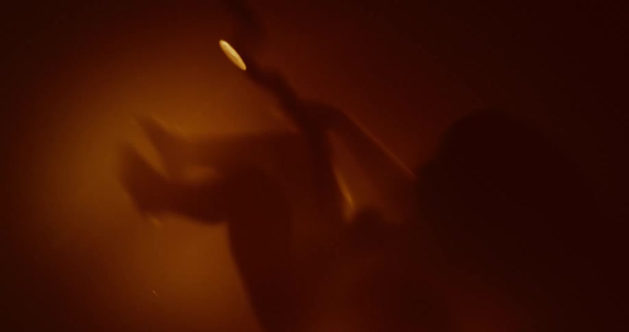 A fetus floating in a womb