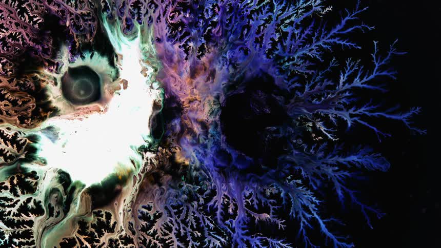 Liquid spreads along branches of image blurring the lines