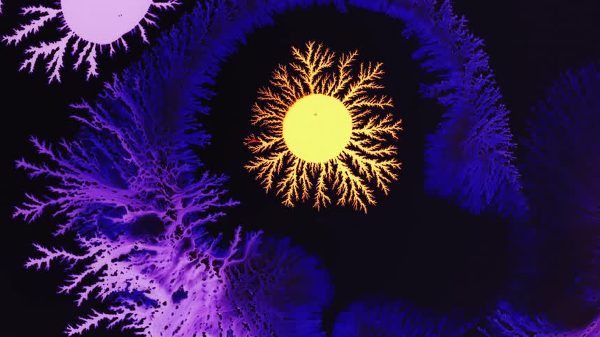 Yellow and orange shape starts as disk before spreading out branches in center of cool colored shape that also contains branches