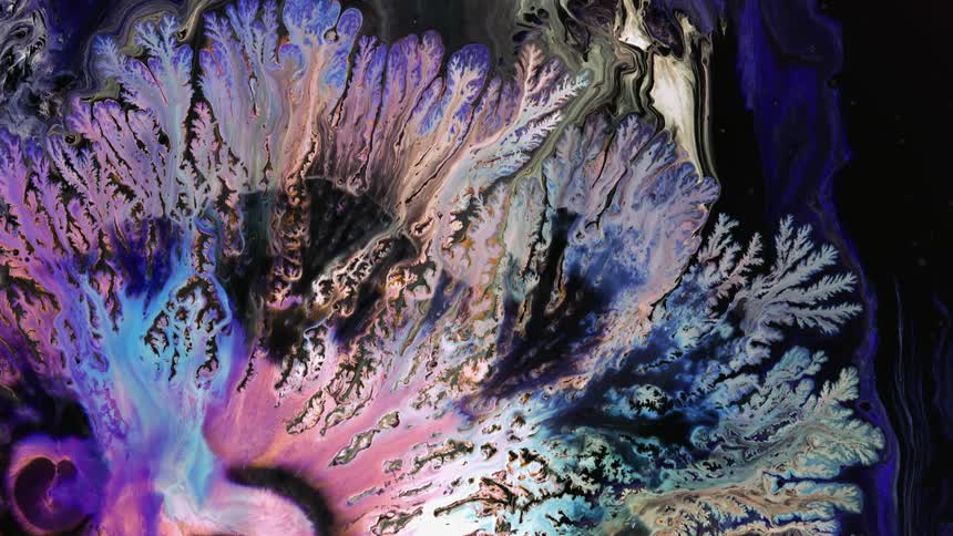 Light multi colored paint spreads forming branches against dark background