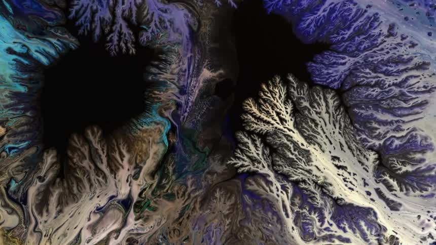 Branches of organic color rapidly grow and spread across the dark areas
