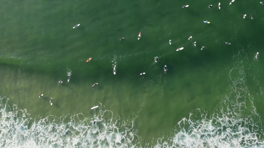 Some surfers sit on boards and others ride wave rolling toward shore