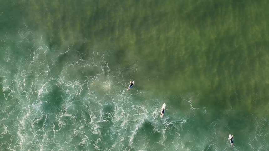 People are surfing in the ocean in the middle of the day