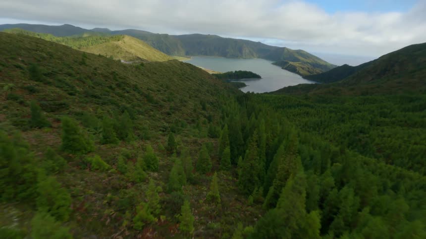 The view is of the forest area and you can see all the trees