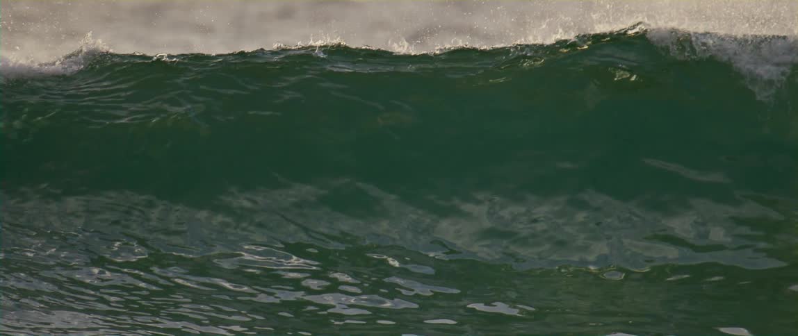 Ocean wave moves across the surface of the sea