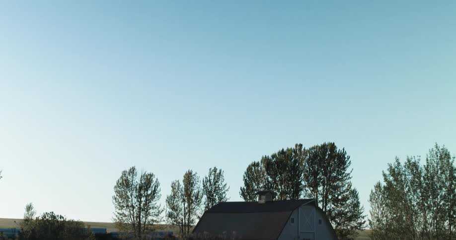 A wooden shack on a field in the countryside at morning
