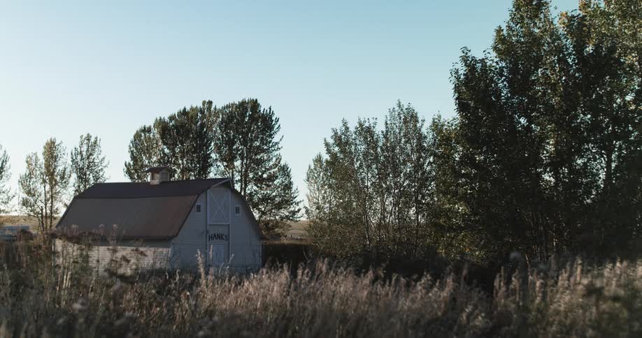An old barn is sitting in the country near trees and plants under a clear sky