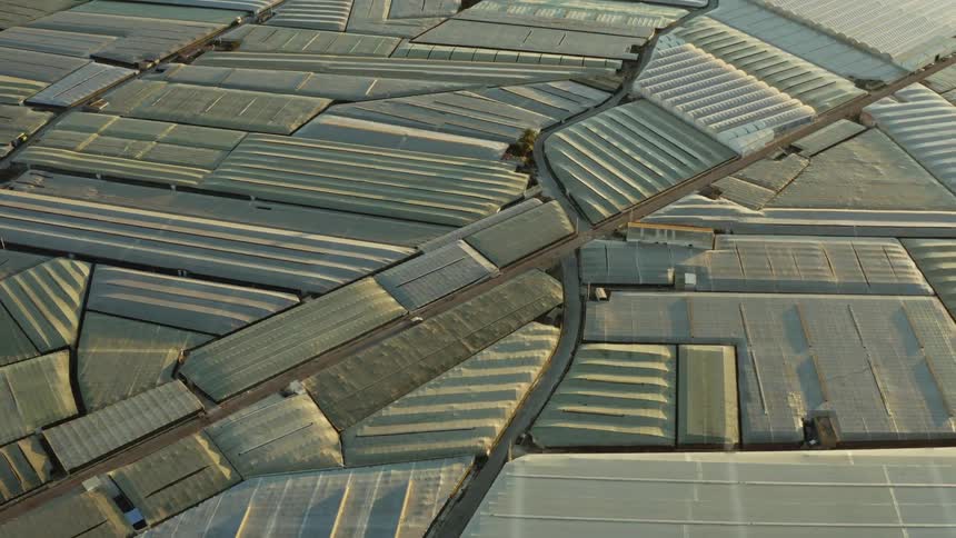 Aerial view of a car driving through an endless field of greenhouses