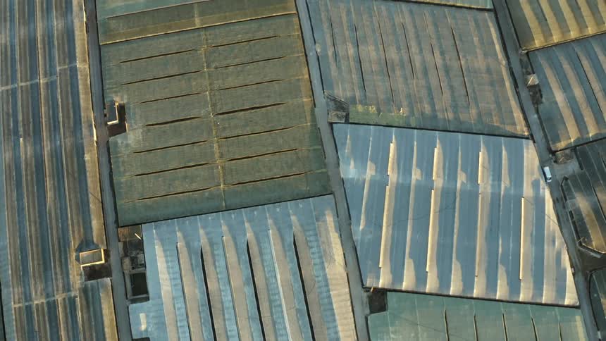 Irregular greenhouses cover every inch of the ground