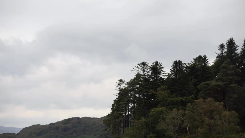 Time lapse of clouds passing over a forest in the mountains