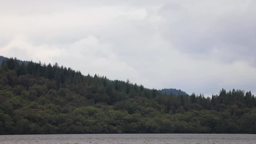 Clouds move over conifer forest situated near water on foggy day