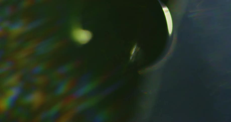 Close up of sunlight shining over a water droplet resting on a green leaf