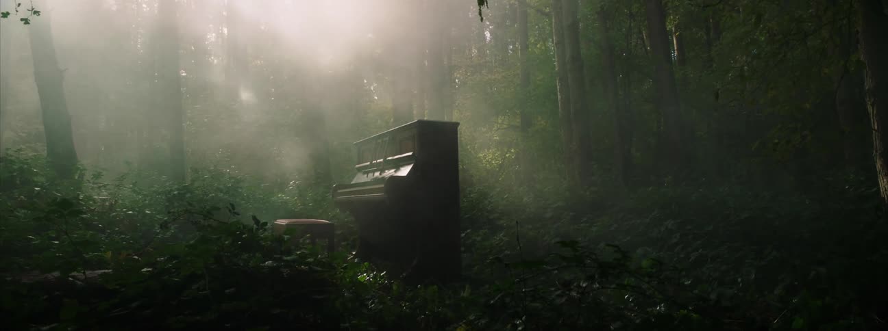 Upright piano and stool stand in the green woods