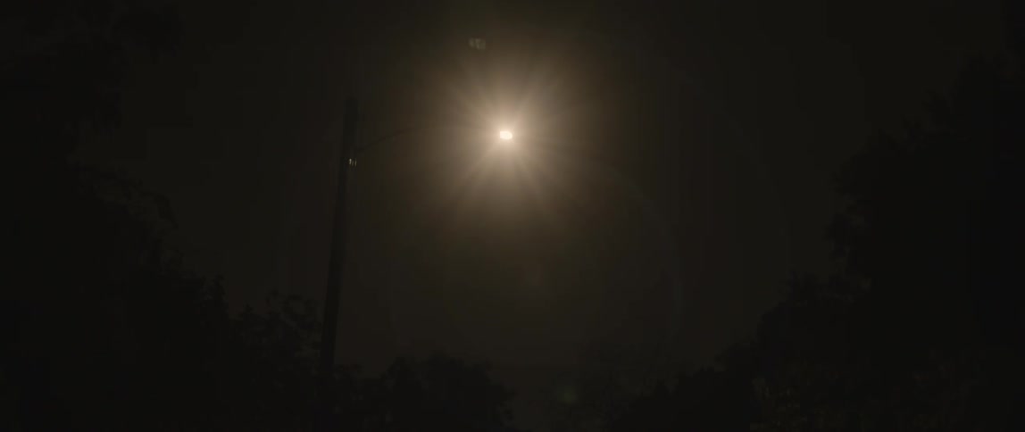 Solitary streetlight shines over the trees at night
