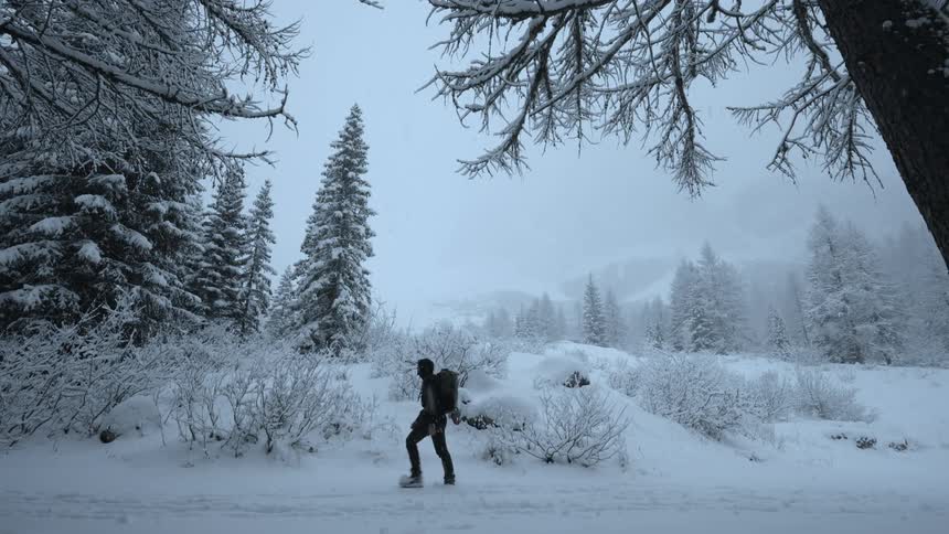 A man walking in the snowy woods