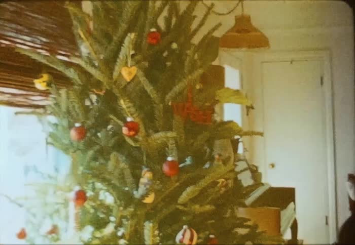 Person sits near christmas tree as it occupies space near window