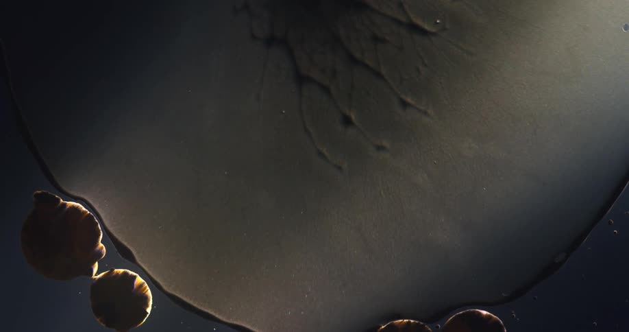 Abstract footage of an oval with liquid dye moving in water