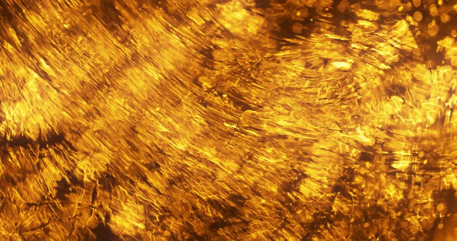 Glowing golden dots flow under shimmering translucent tendrils