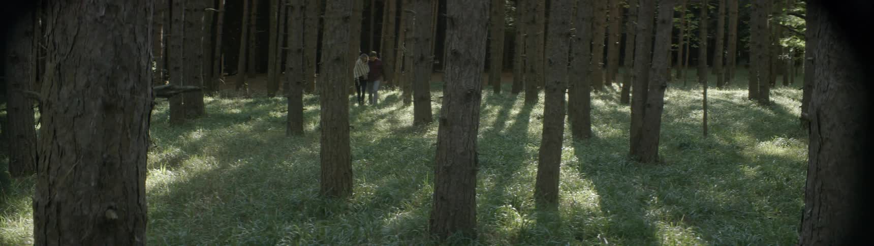 A man and woman walk through a forest during the day